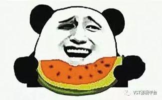 吃瓜群众网不红,网络红人的幕后故事  第1张